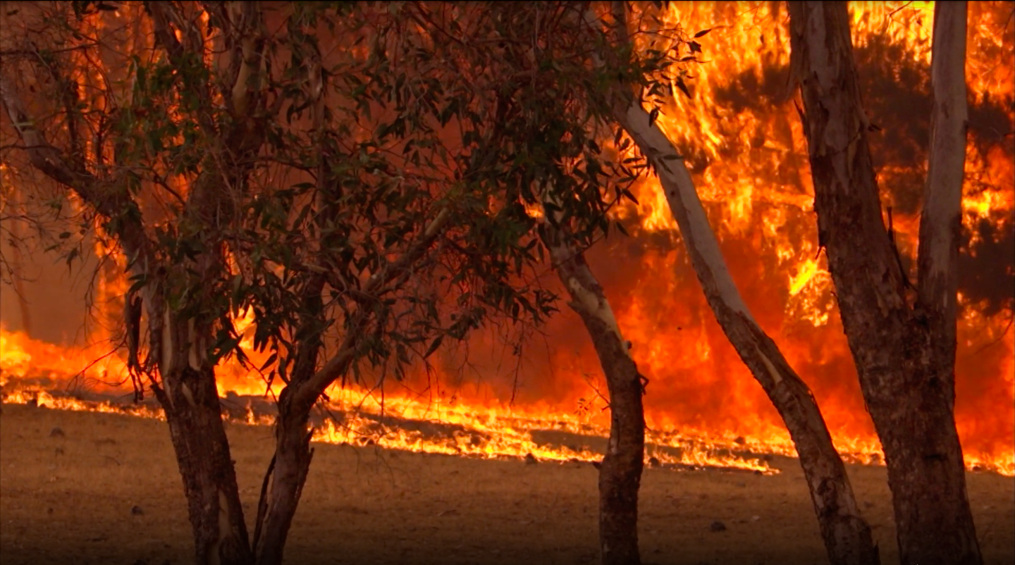 Australian Brushfires
