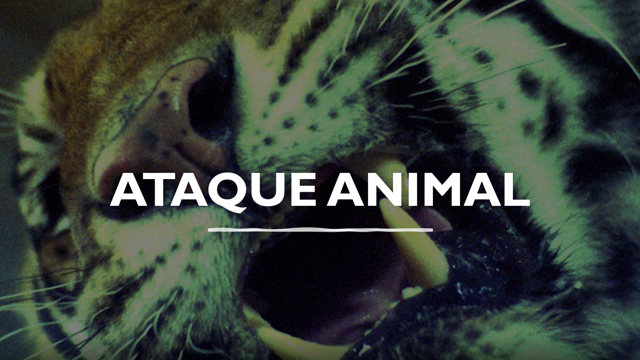 Ataque Animal