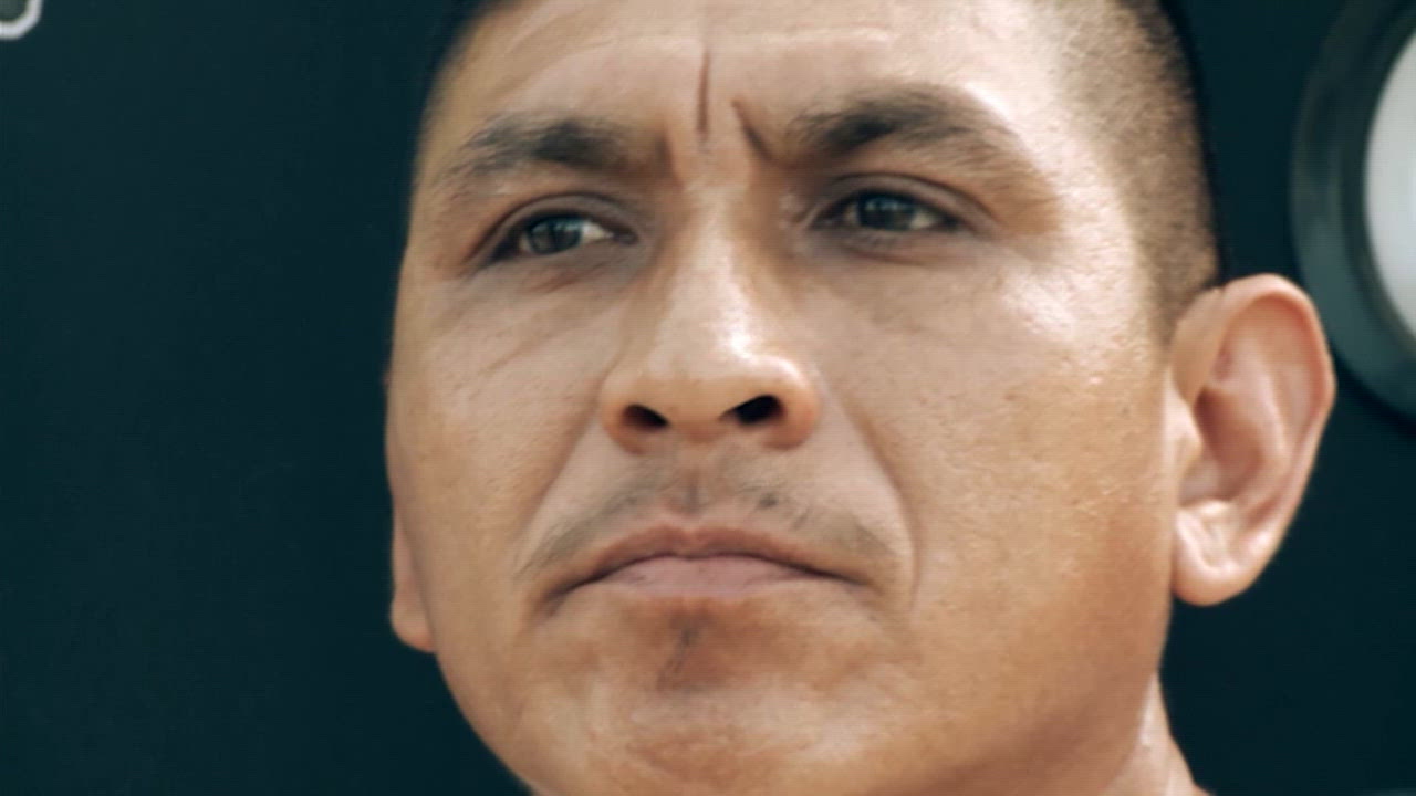 Coyotes and Illegals