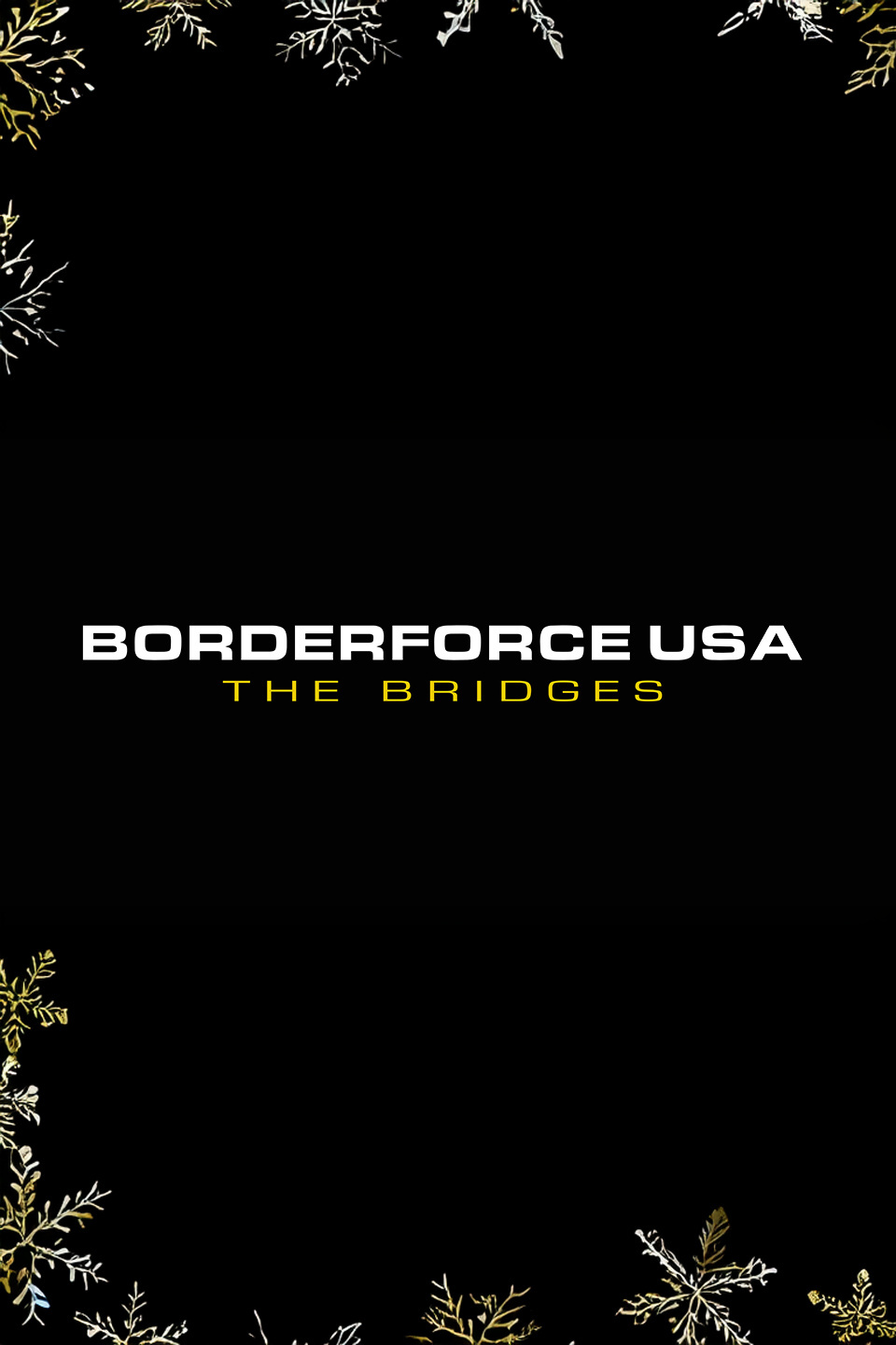 Borderforce USA: The Bridges