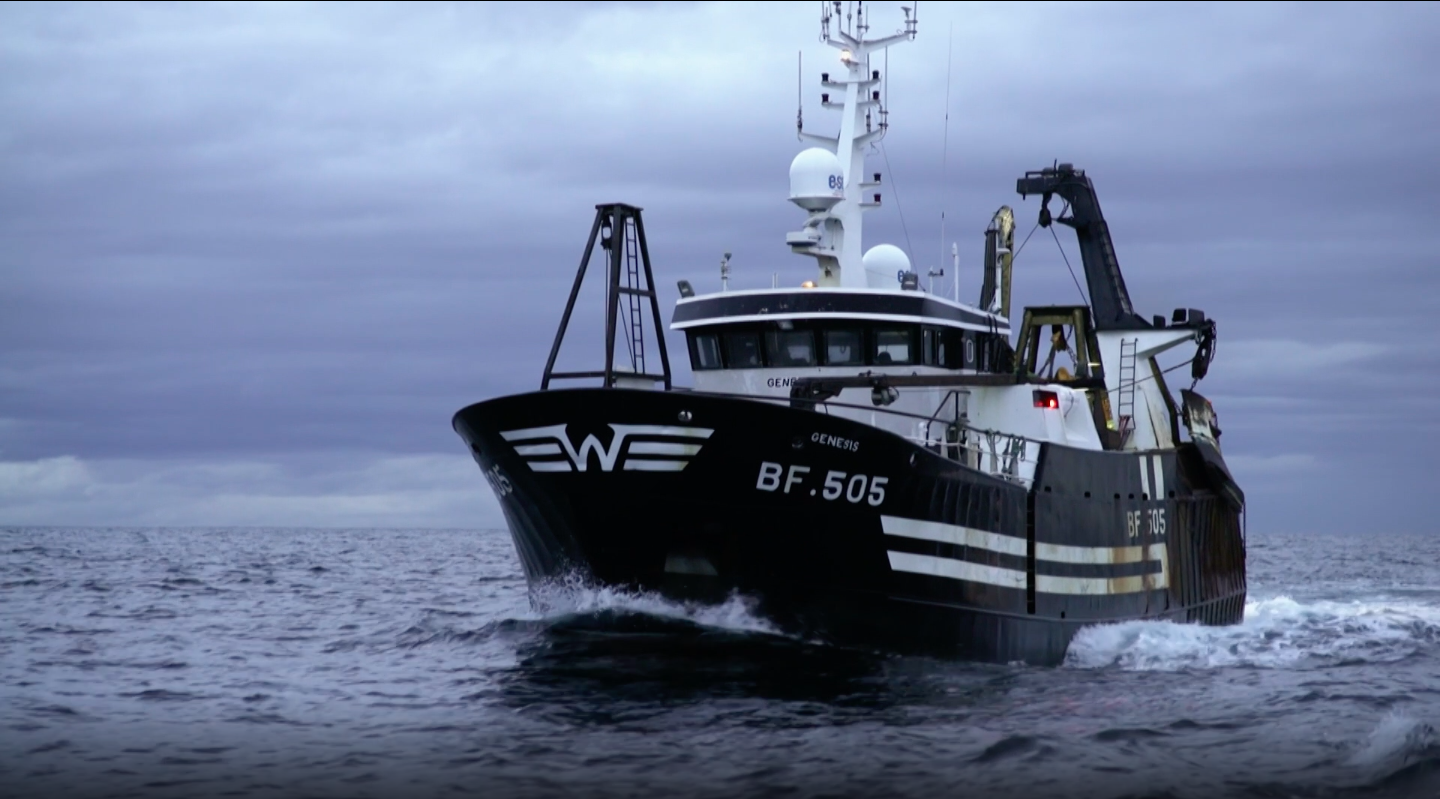 In Search of Monkfish