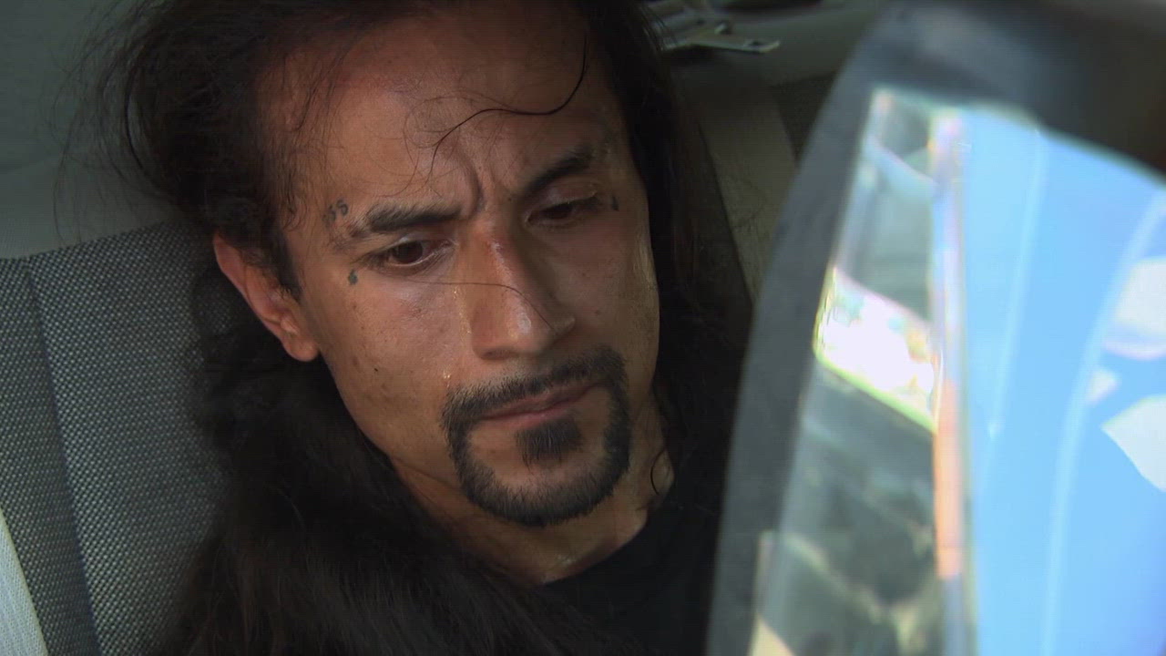 Intruso en el Patio Trasero