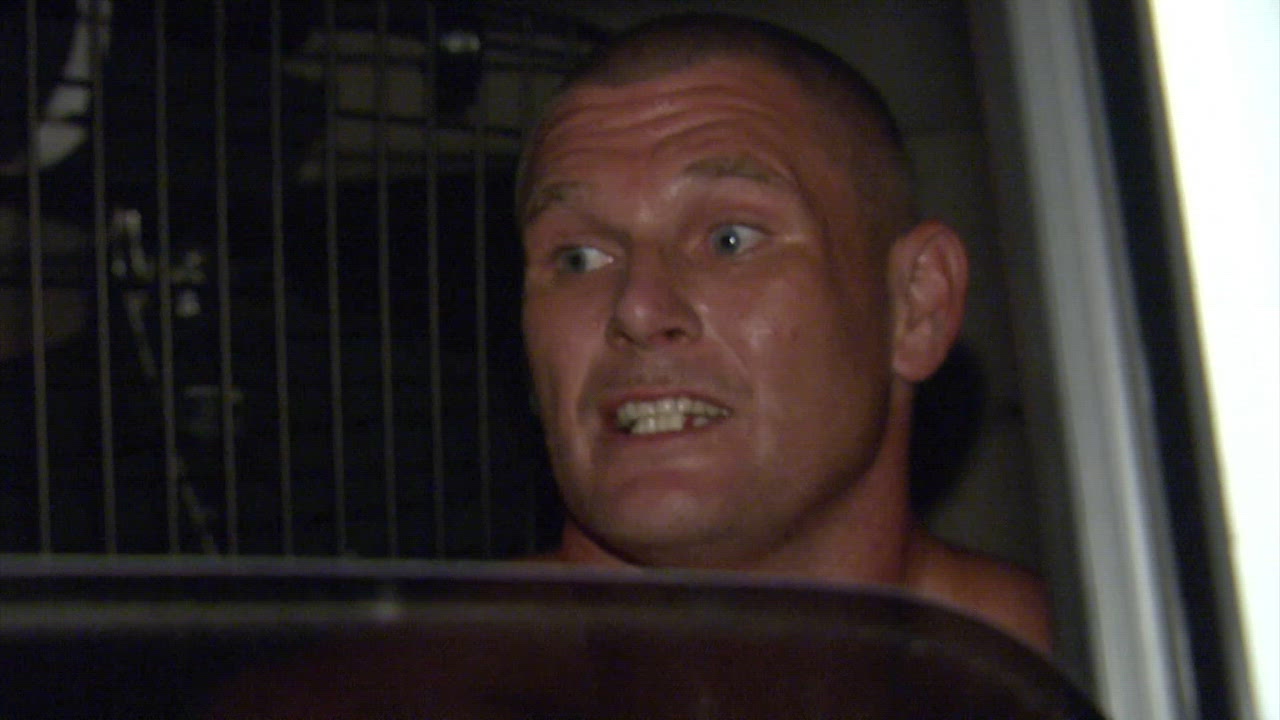 Fugitive in the Attic