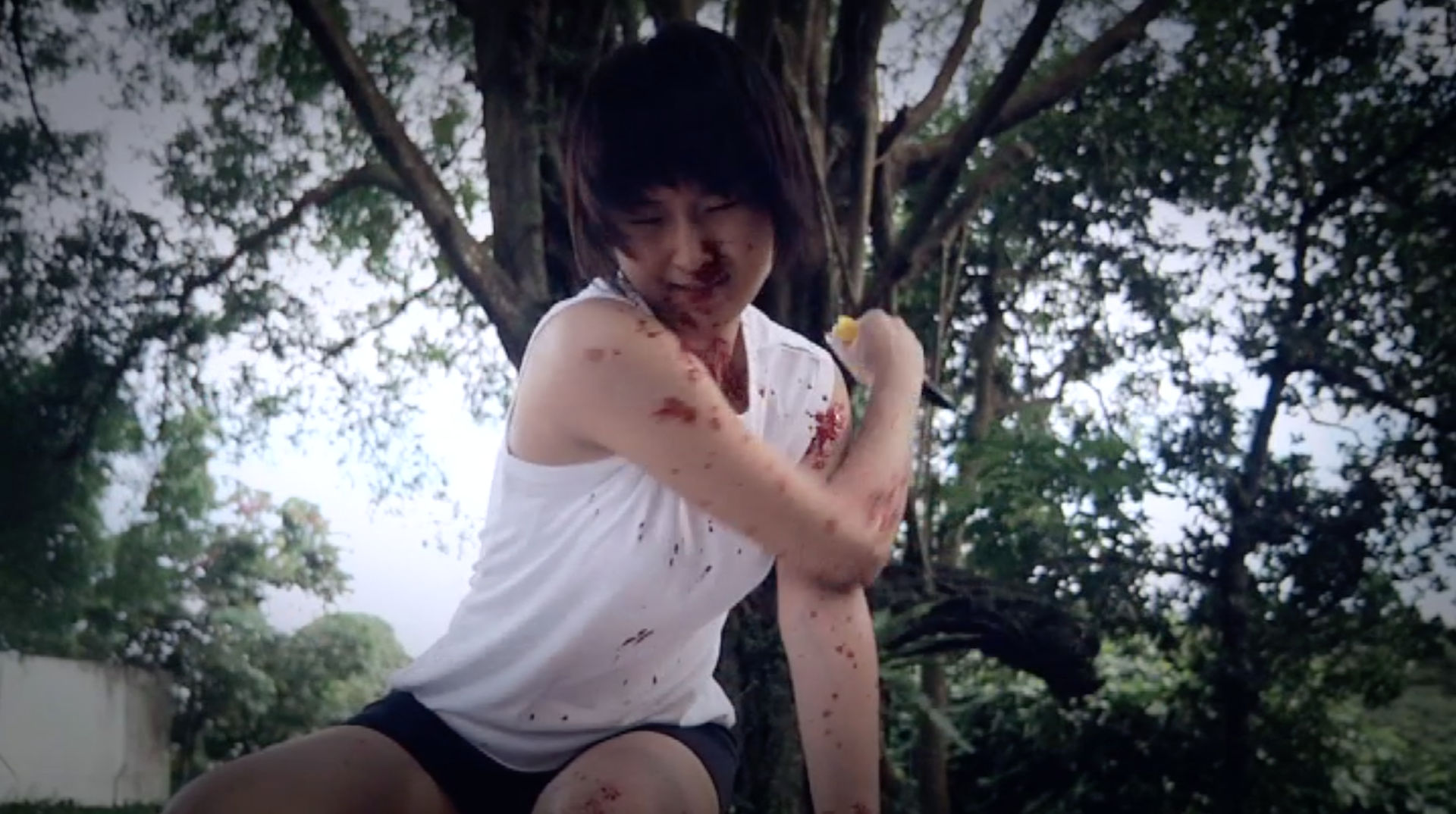 Japan's Schoolyard Murder