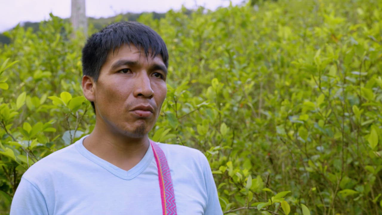 Crisis in The Cocaine Valley