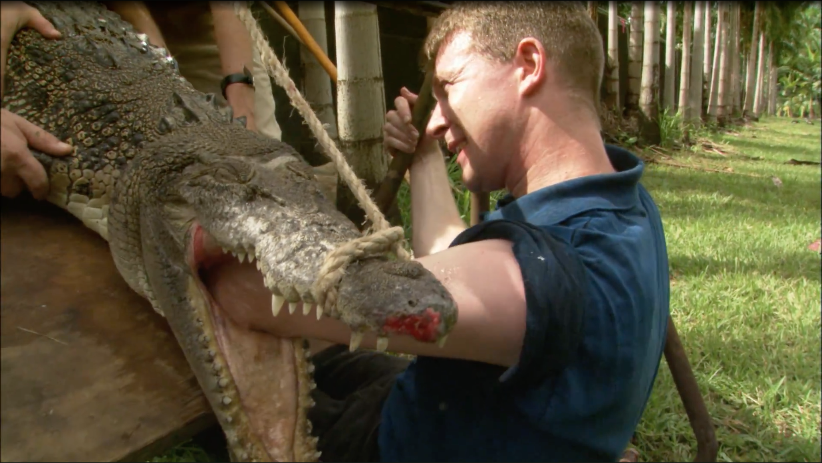 Domadores de Cocodrilos