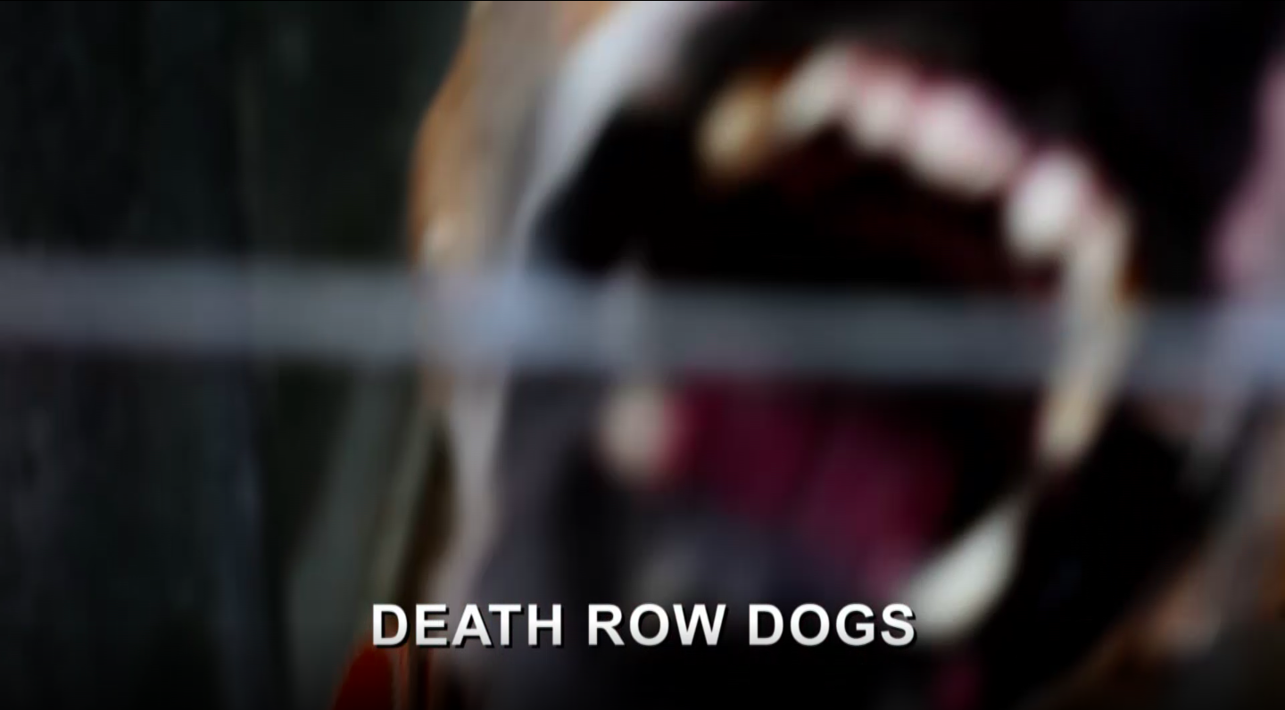 Death Row Dogs 