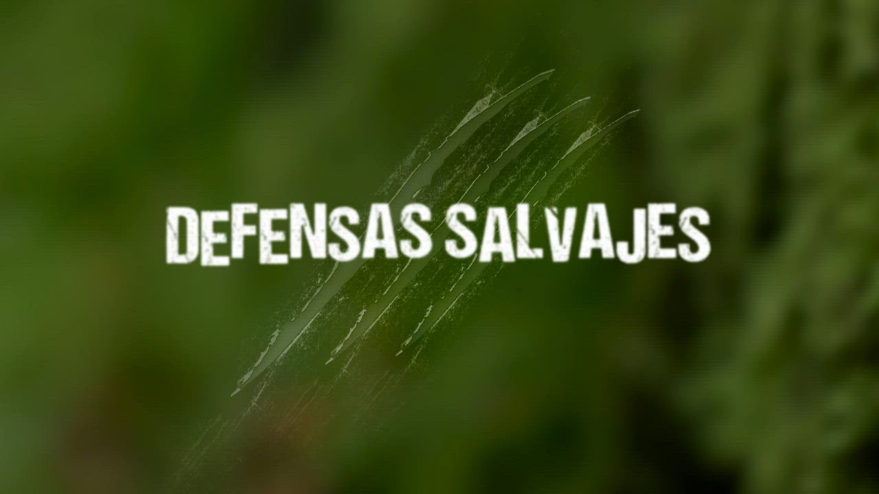 Defensas Salvajes