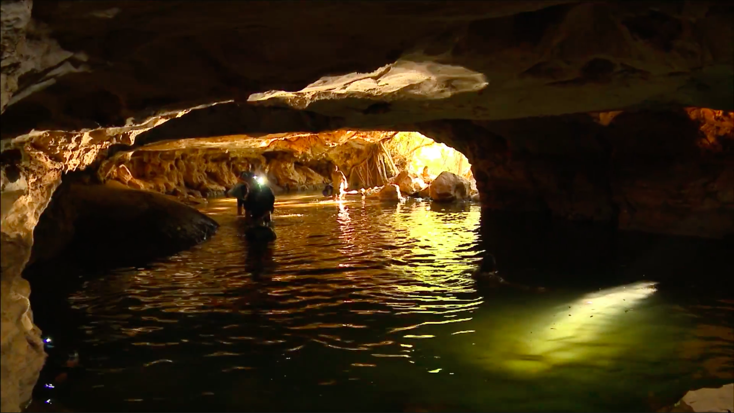 Sydney City Slickers