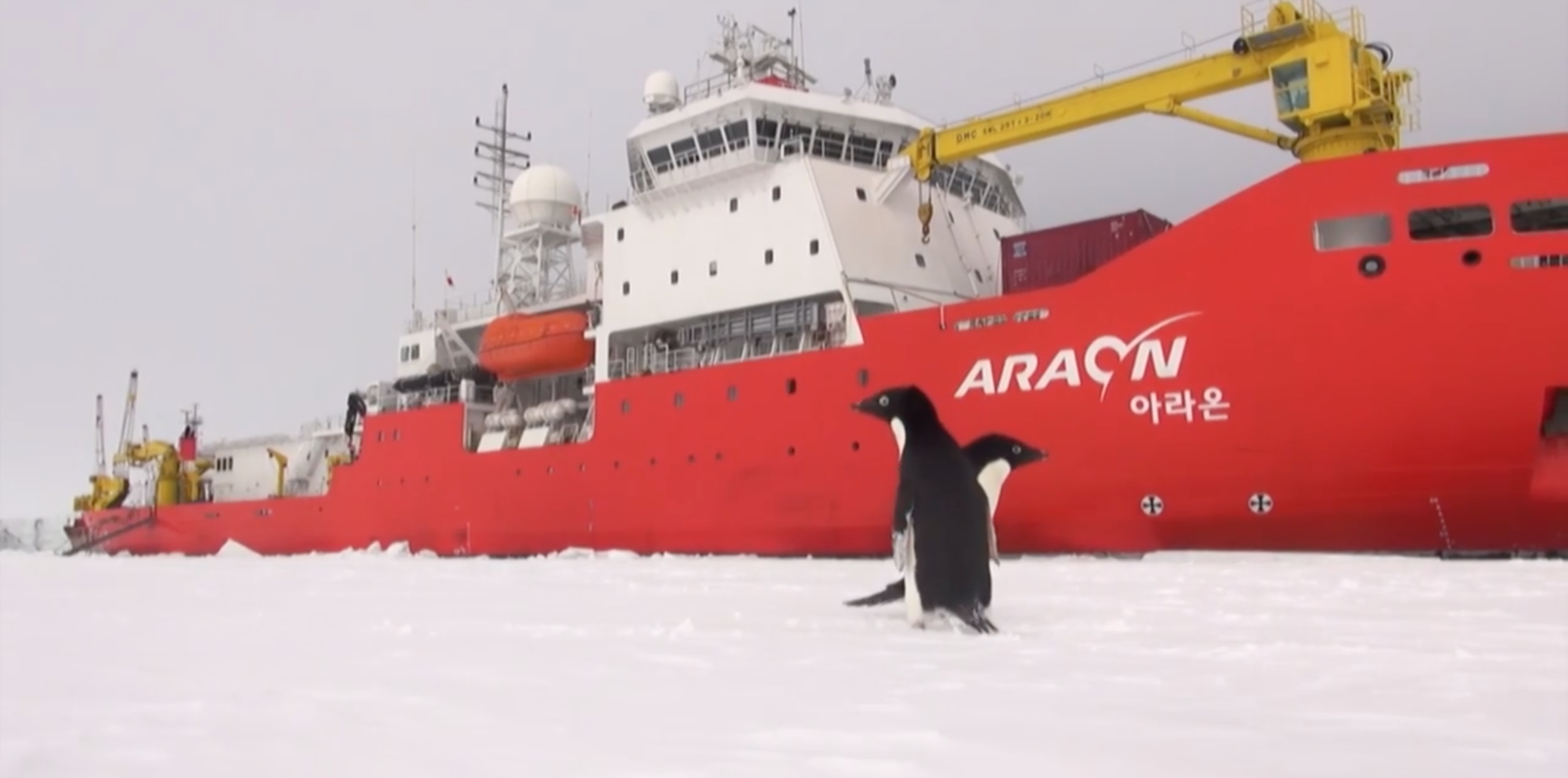 Extreme Mission to Antarctica