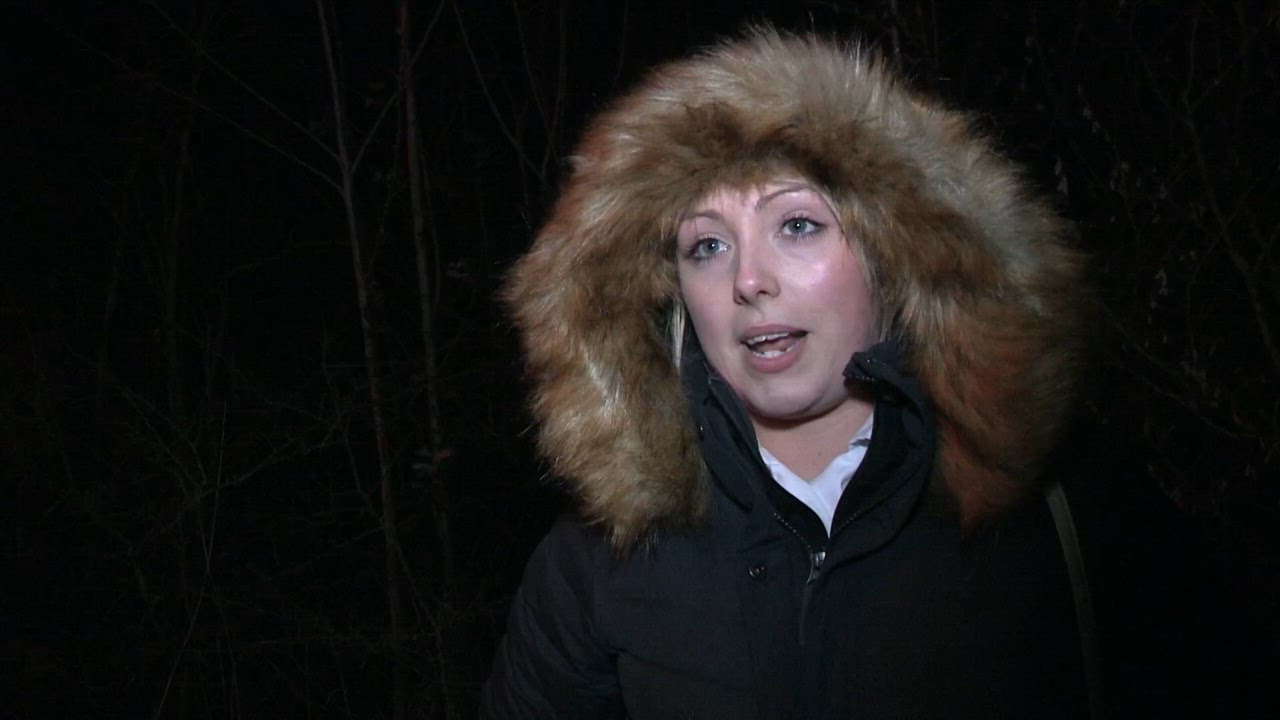 Carnage on the Roads