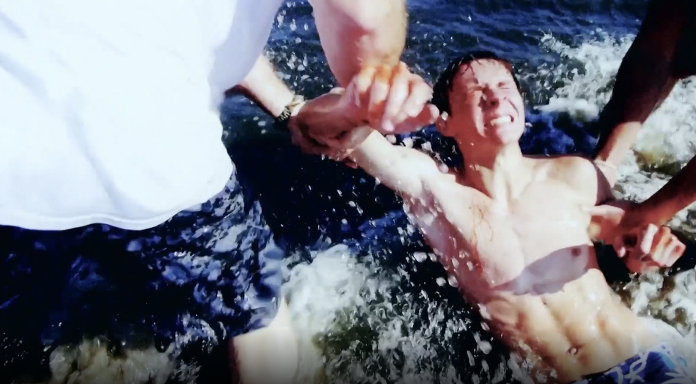 In the Grasp of a Shark 