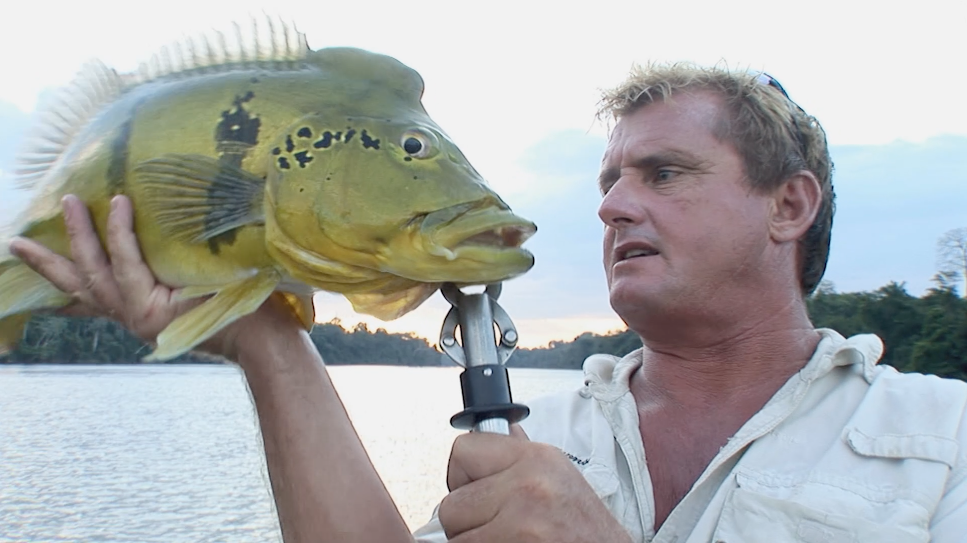 Journey of a Lifetime