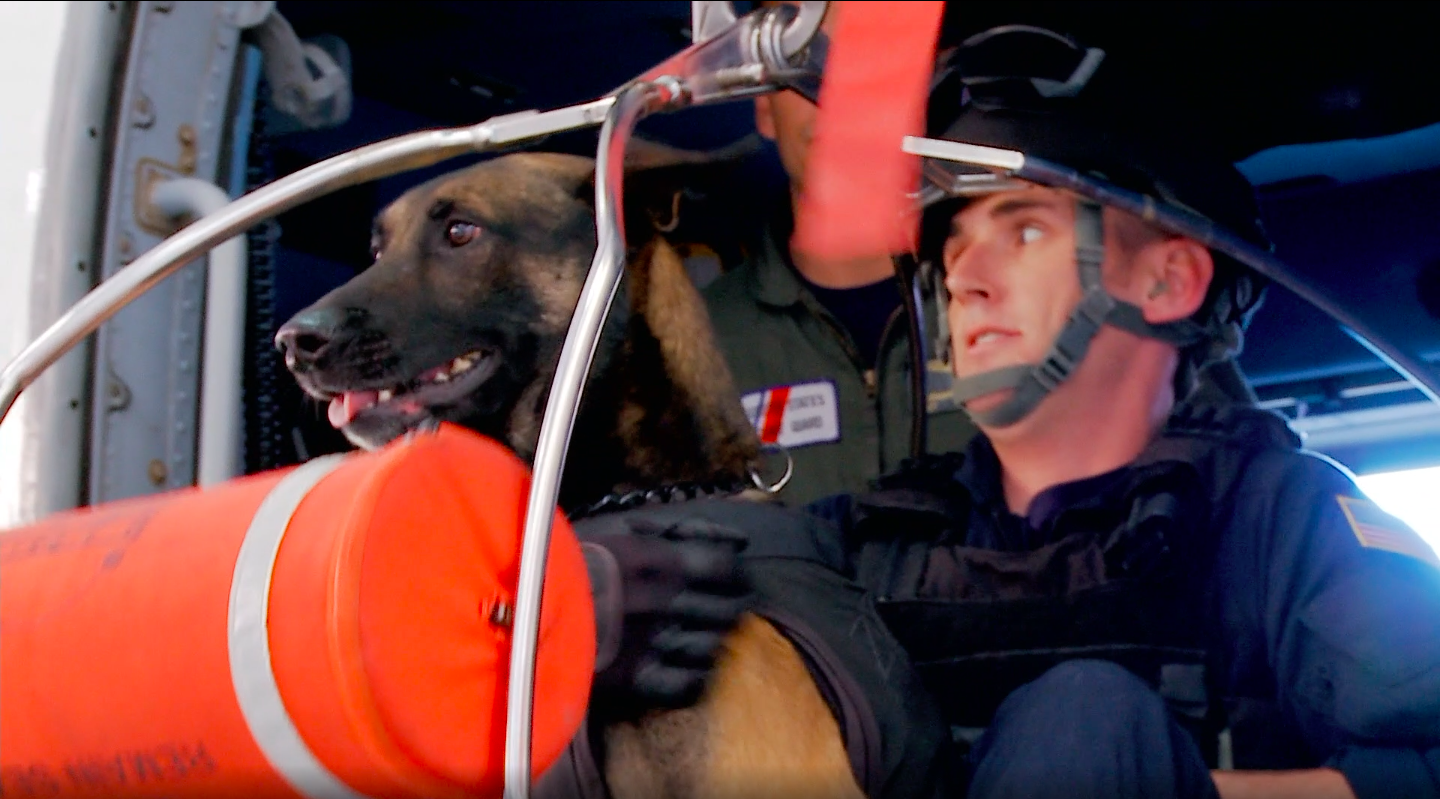 The Dog Will Have His Day