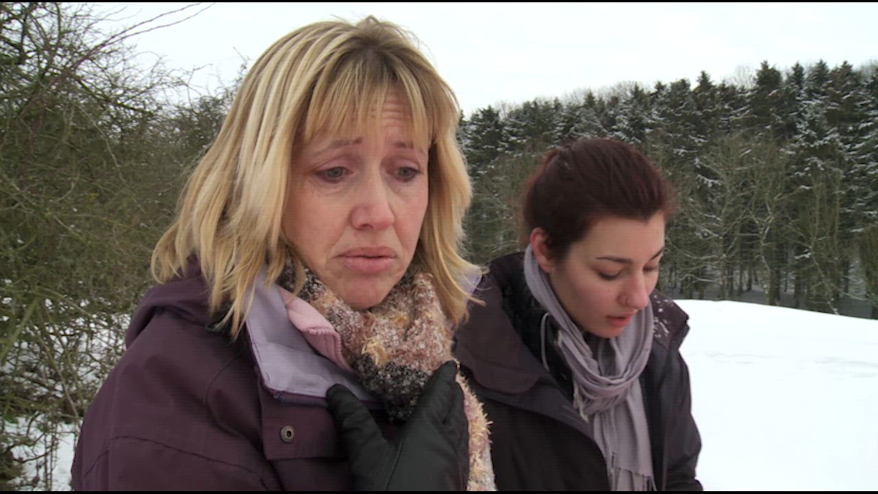 Crisis in Bronte Country 