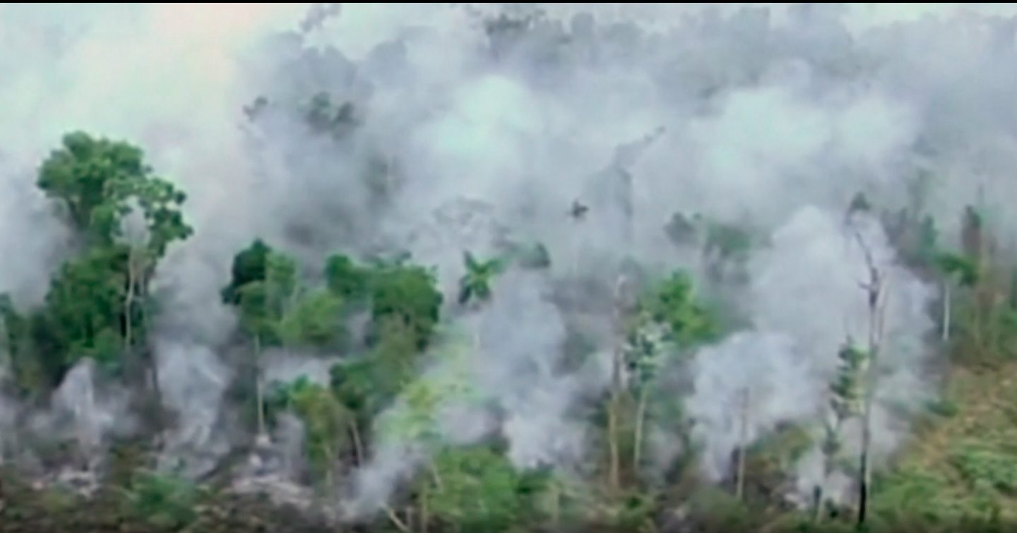 Desastres Ambientales