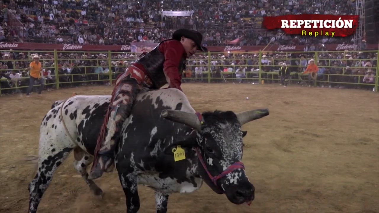 The Place Where Excitement Lives