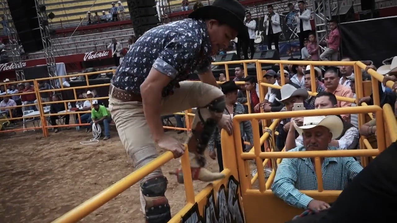 The Ride of Your Life