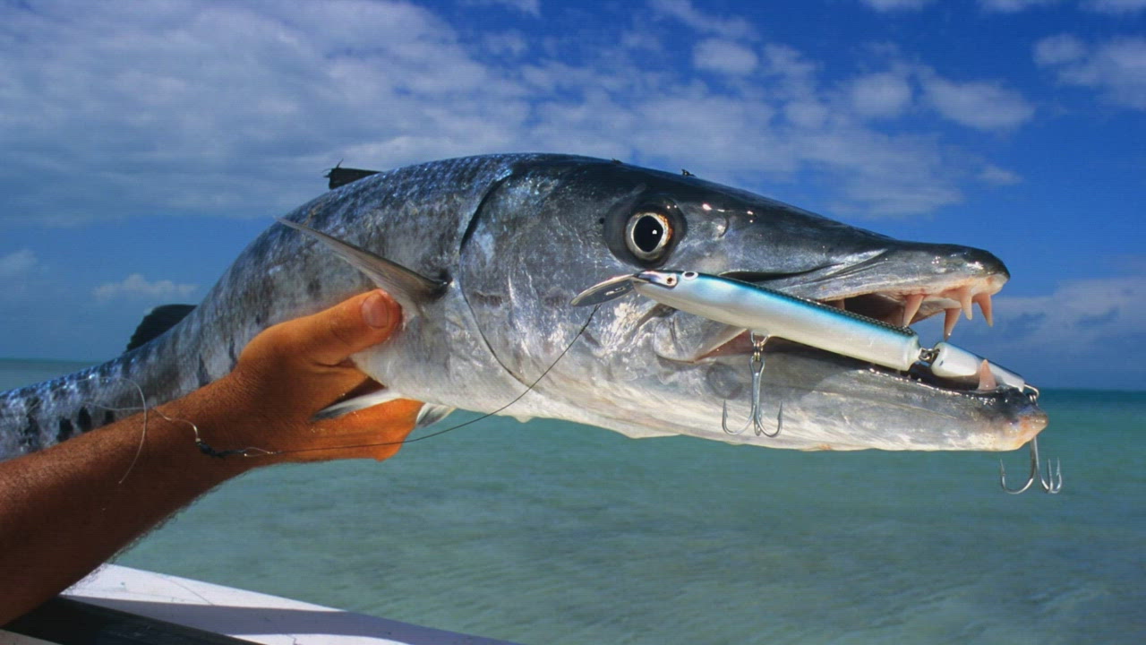 Underwater Undertakers