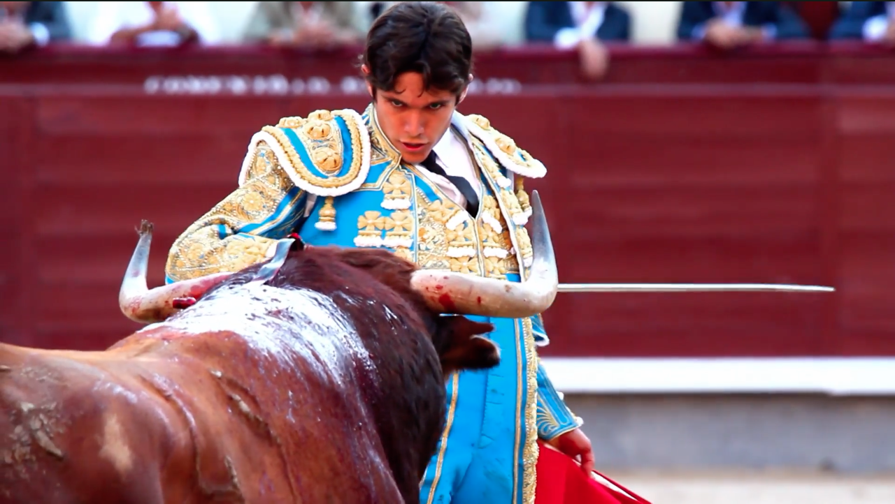 Matador