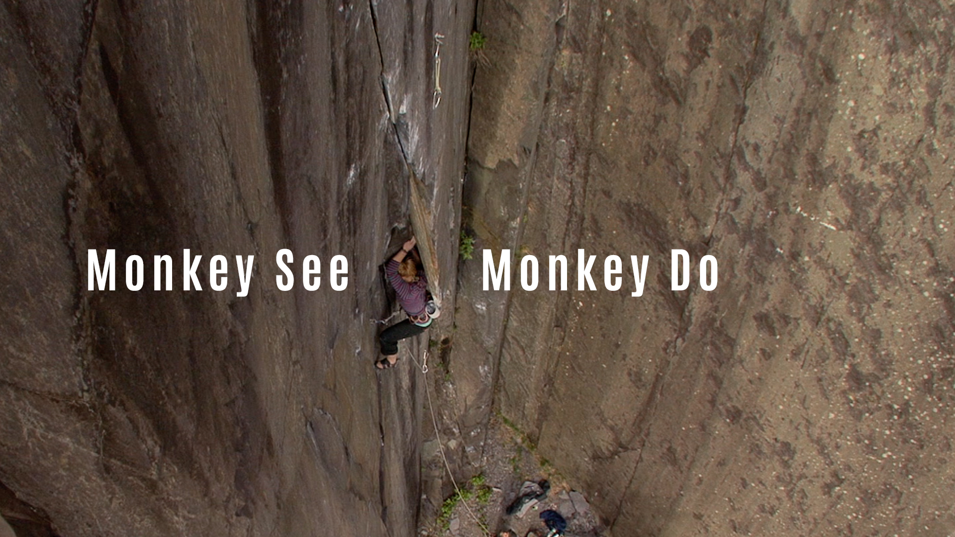 Monkey See Monkey Do