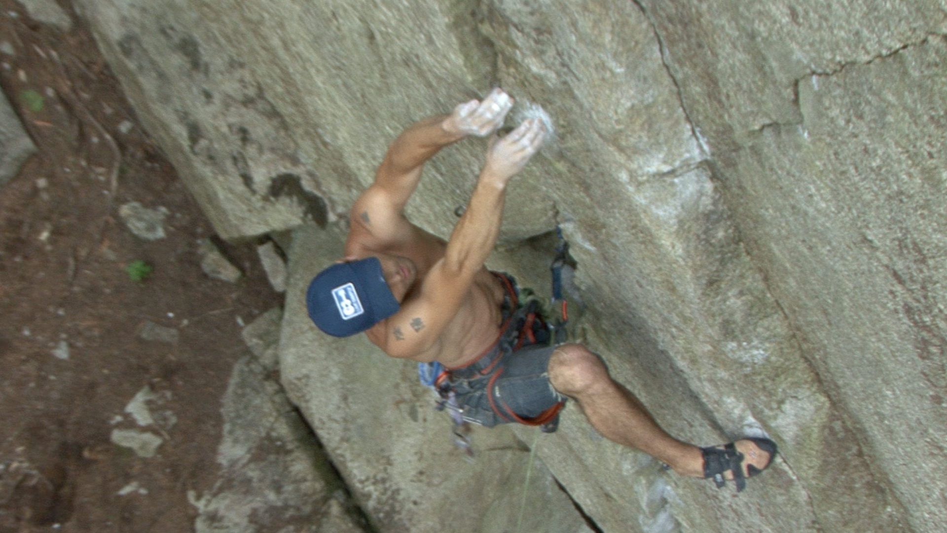 Monkey See Monkey Do