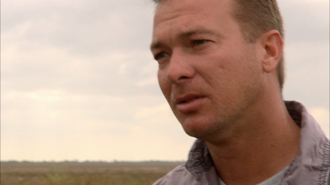 Python Patrol: Everglades Edition