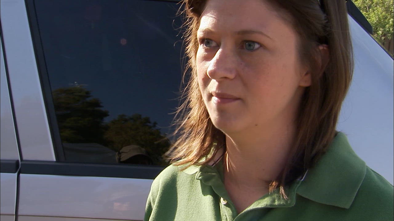 Urban Jungle Showdown