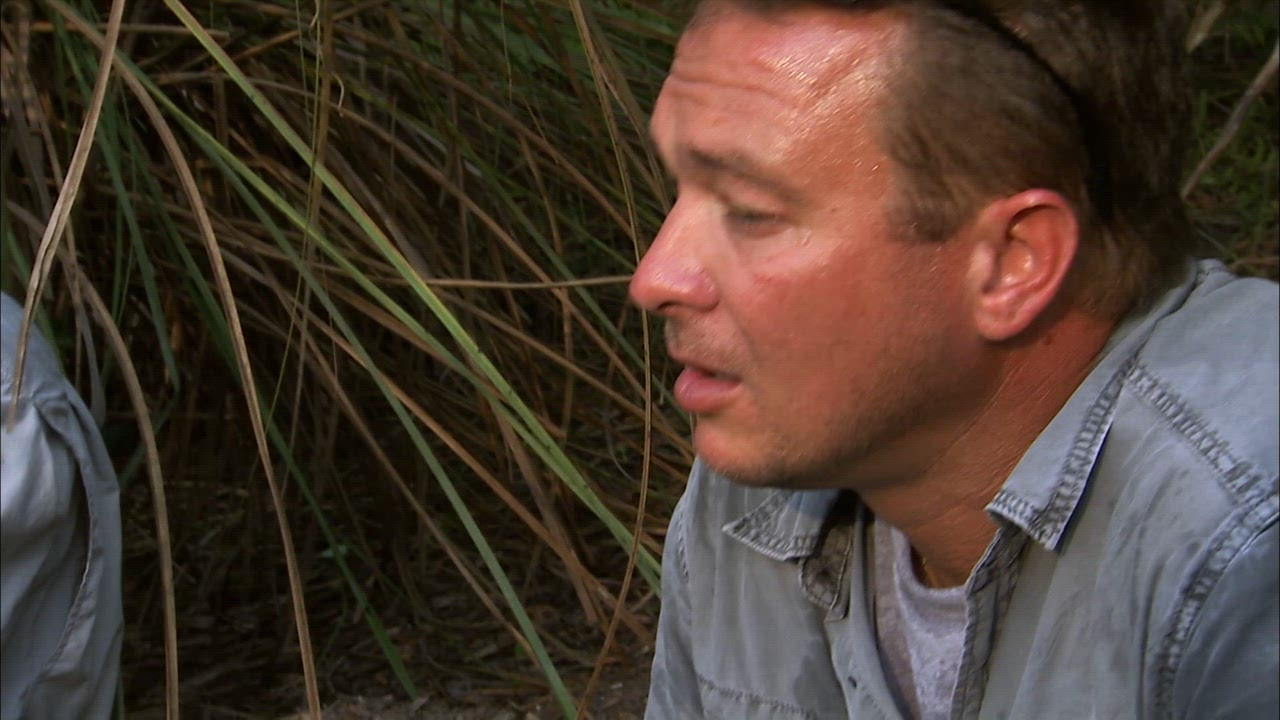 Return to the Everglades