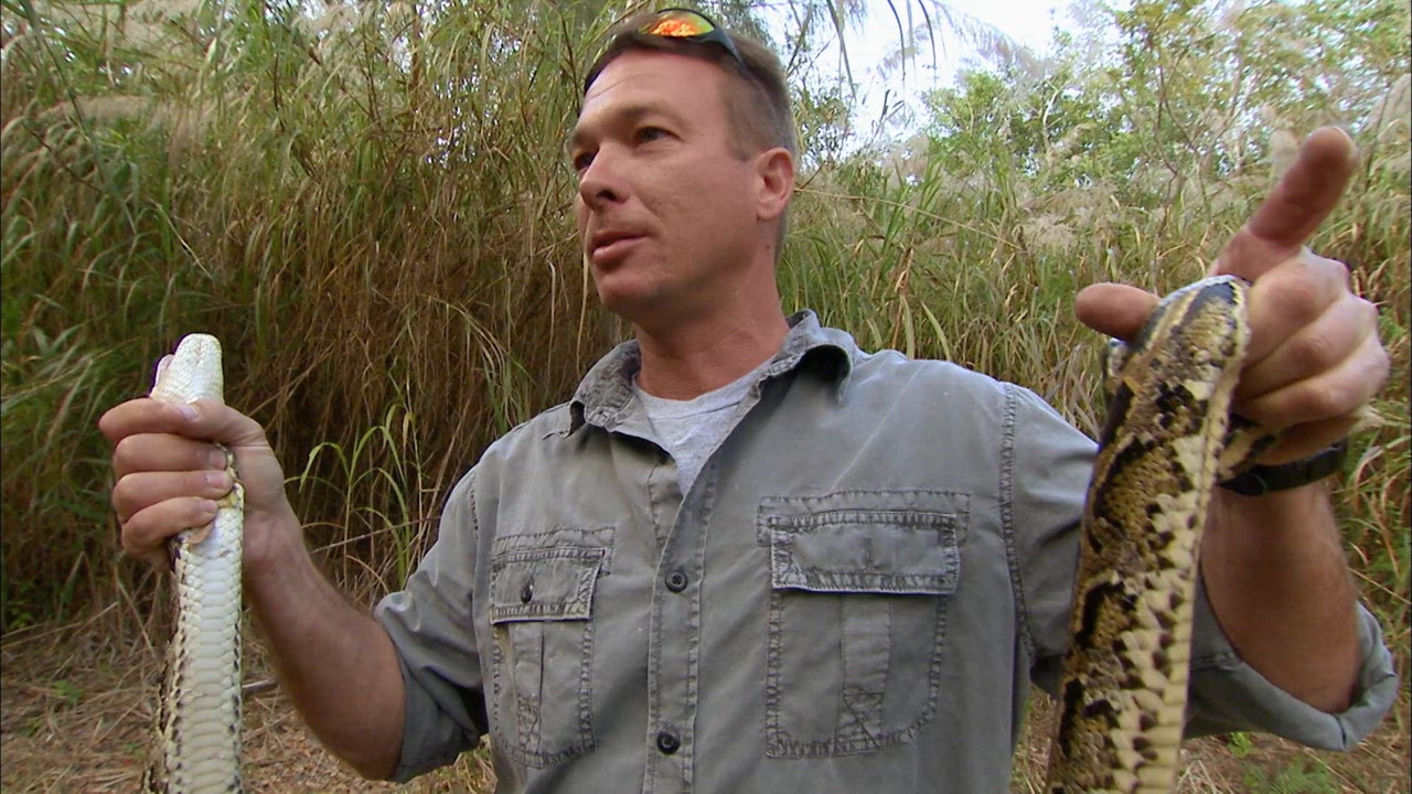 Everglades Under Siege