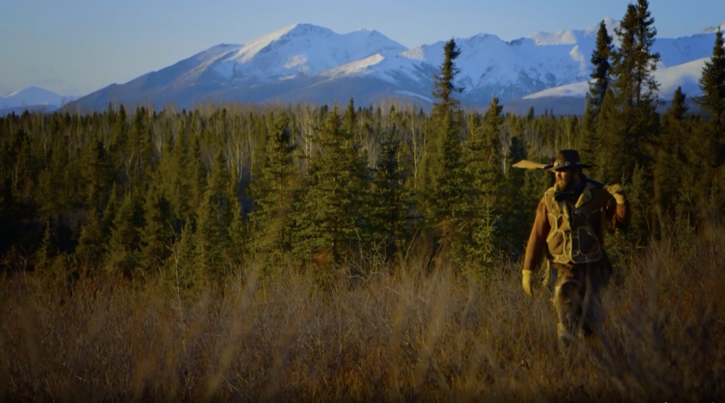 Alaska Caribou Redux