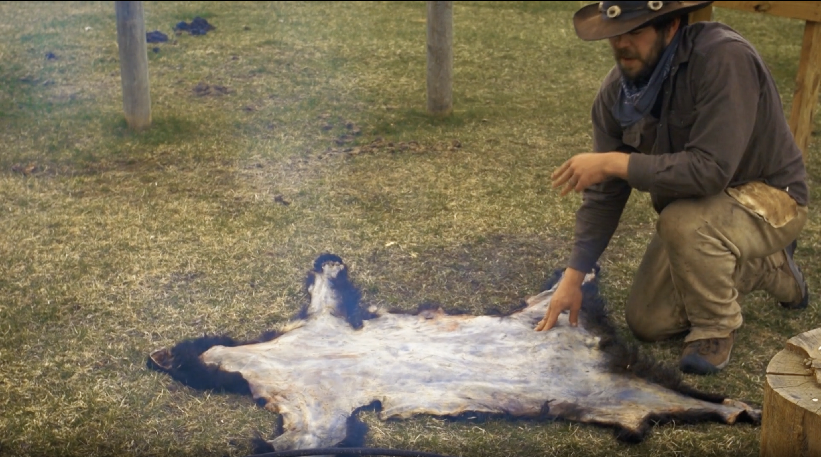 Hide and Tanning Show