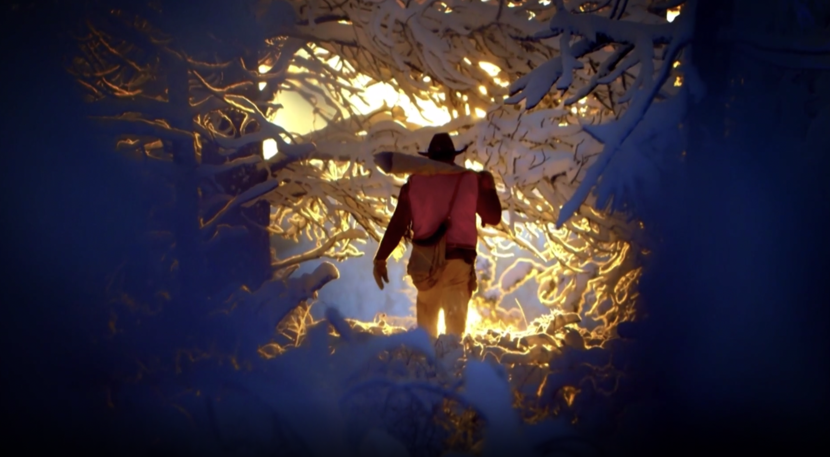 Montana Mountain Whitetail