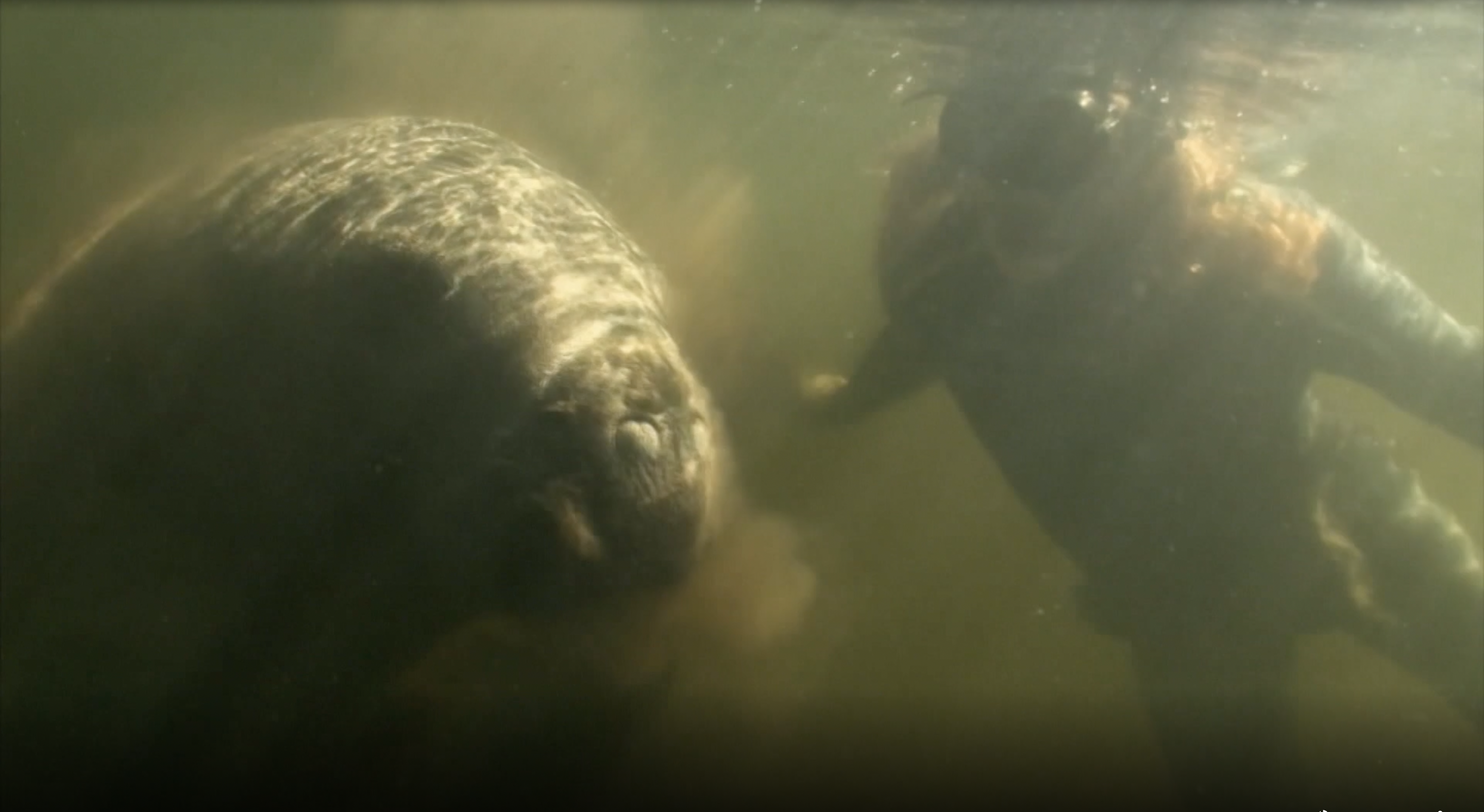 Adventure on the Aucilla River
