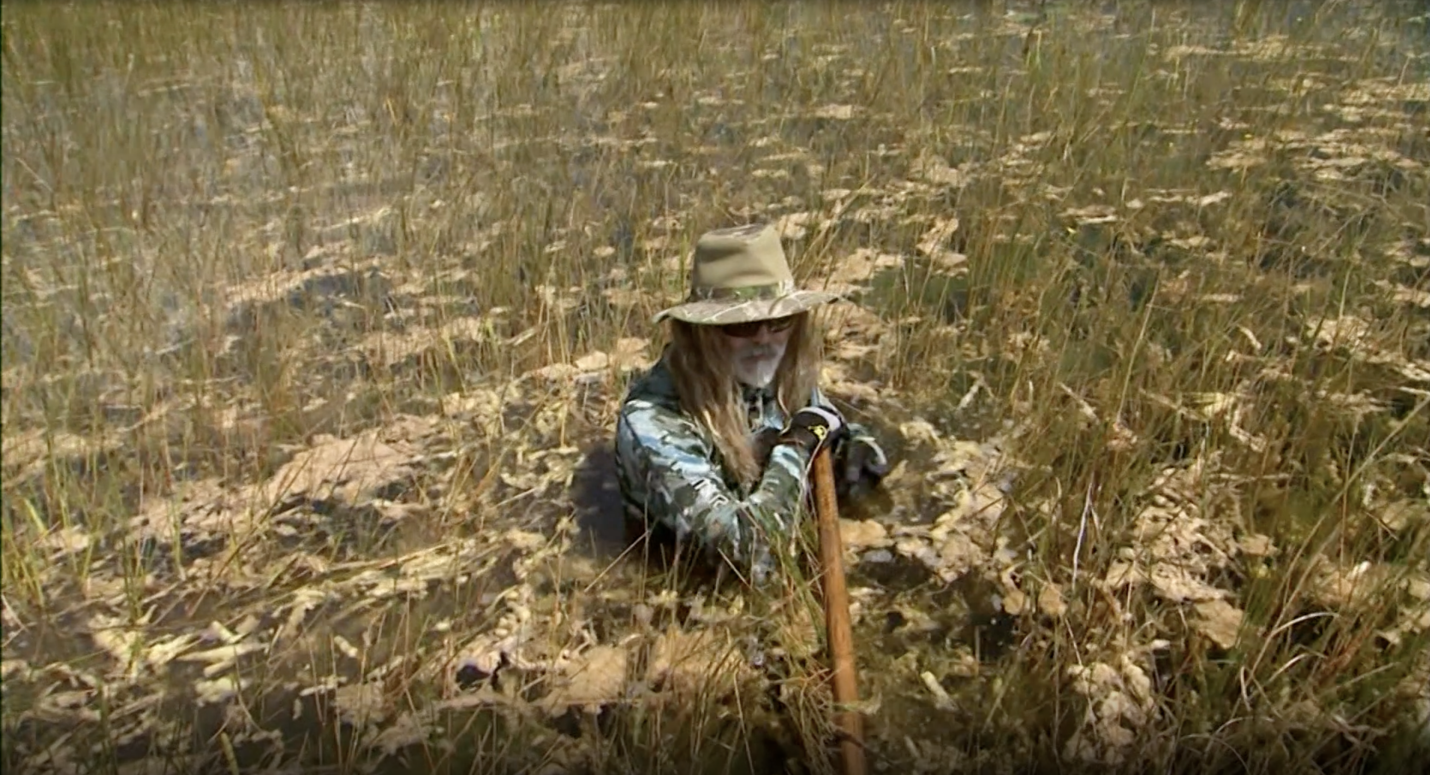 Escape from the Everglades