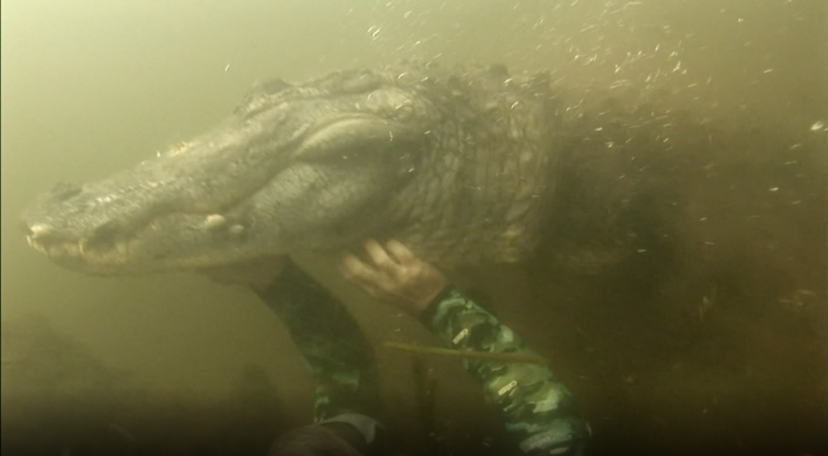 Hunt for General Lee