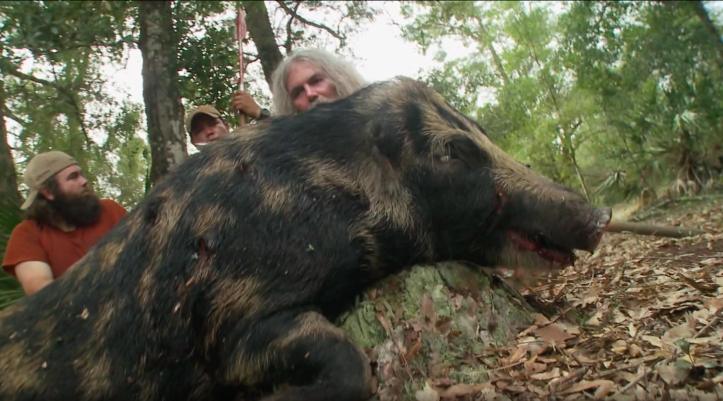 Wild Boar the Hard Way