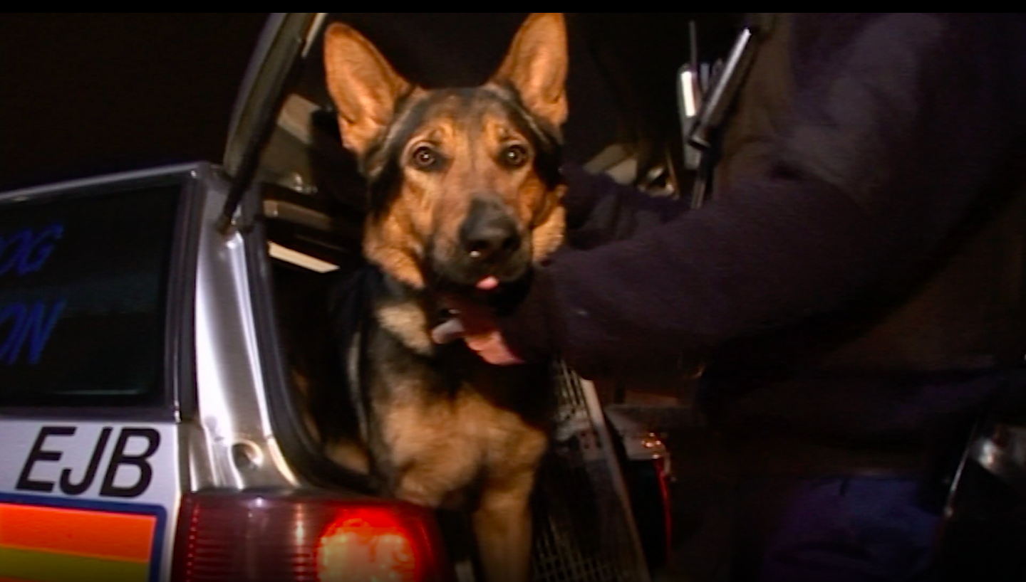 Send in the Dogs: London K-9 Unit