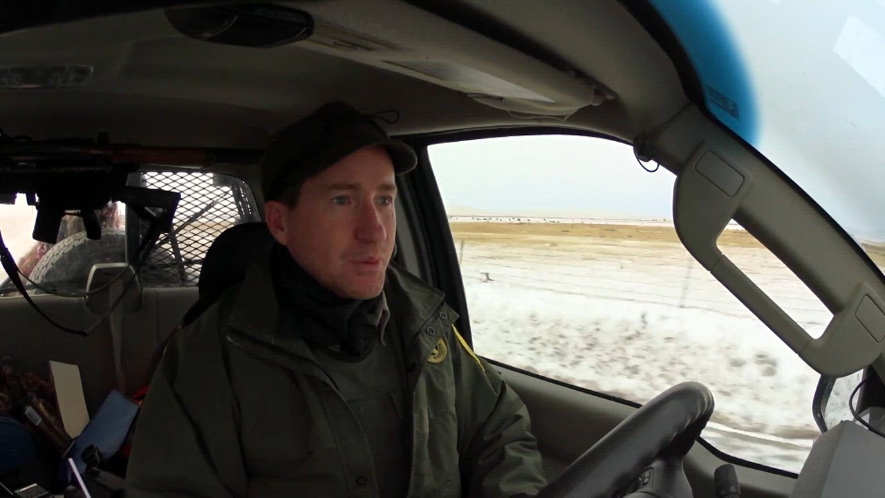 Montana's Unyielding Guardians