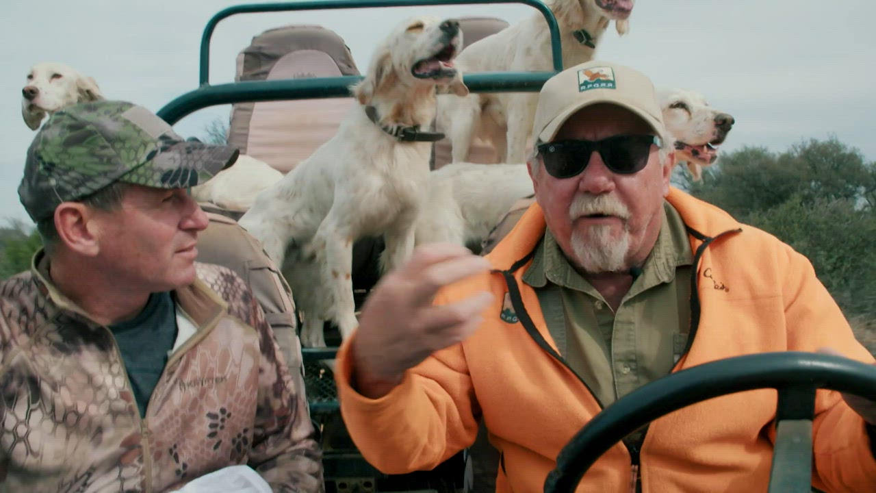 Save the Animal, Save the Place