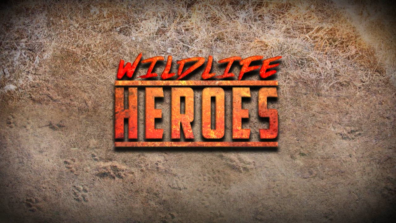 Wildlife Heroes